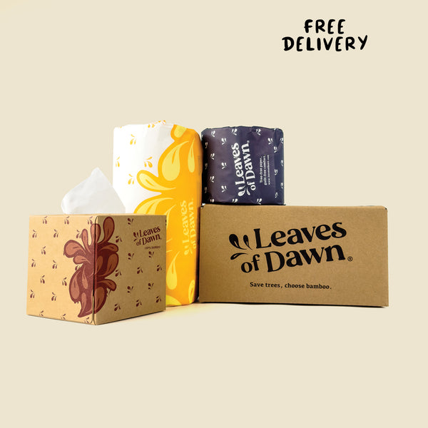 Sustainable Bamboo Paper Discovery Box