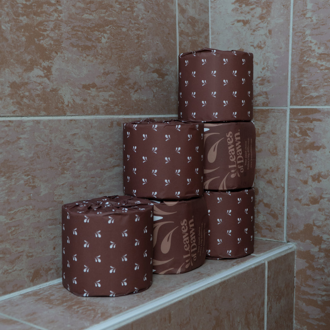 Leaves of Dawn bamboo toilet paper rolls in a bathroom.
