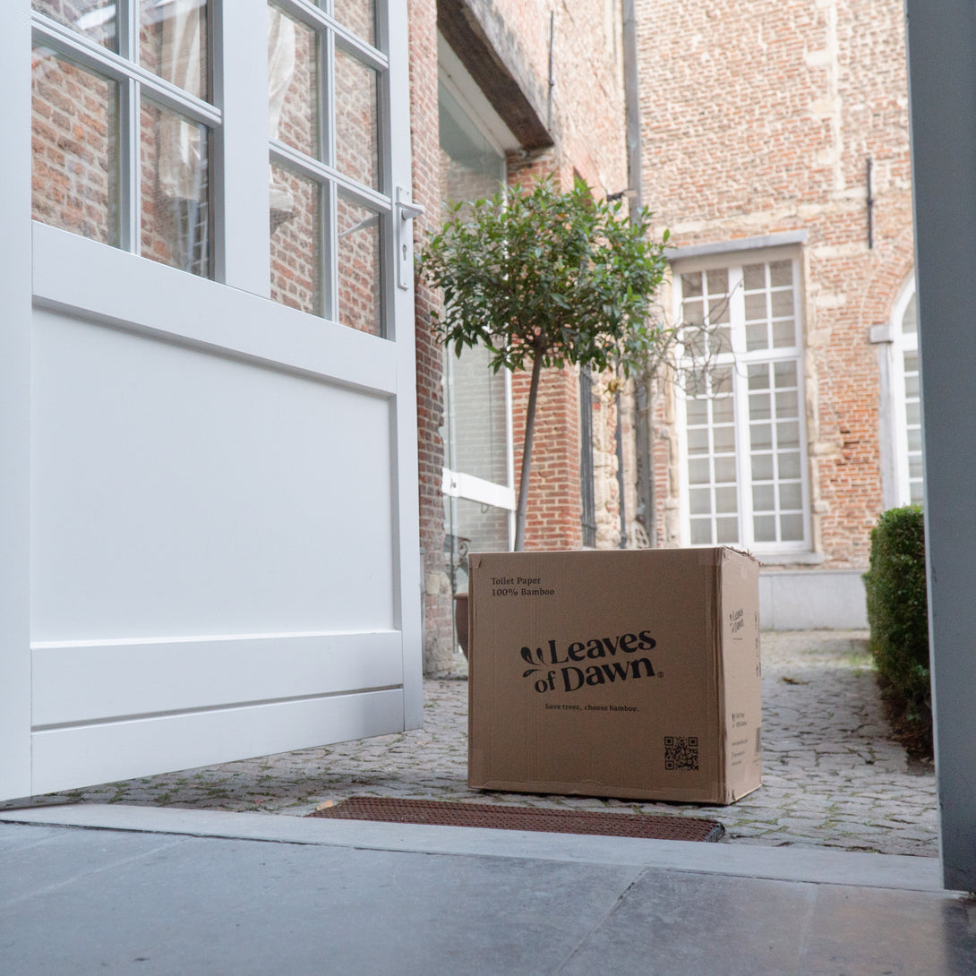 Leaves of Dawn bamboo toilet paper cardboard box in front of a door, showing the home delivery eco comfort.